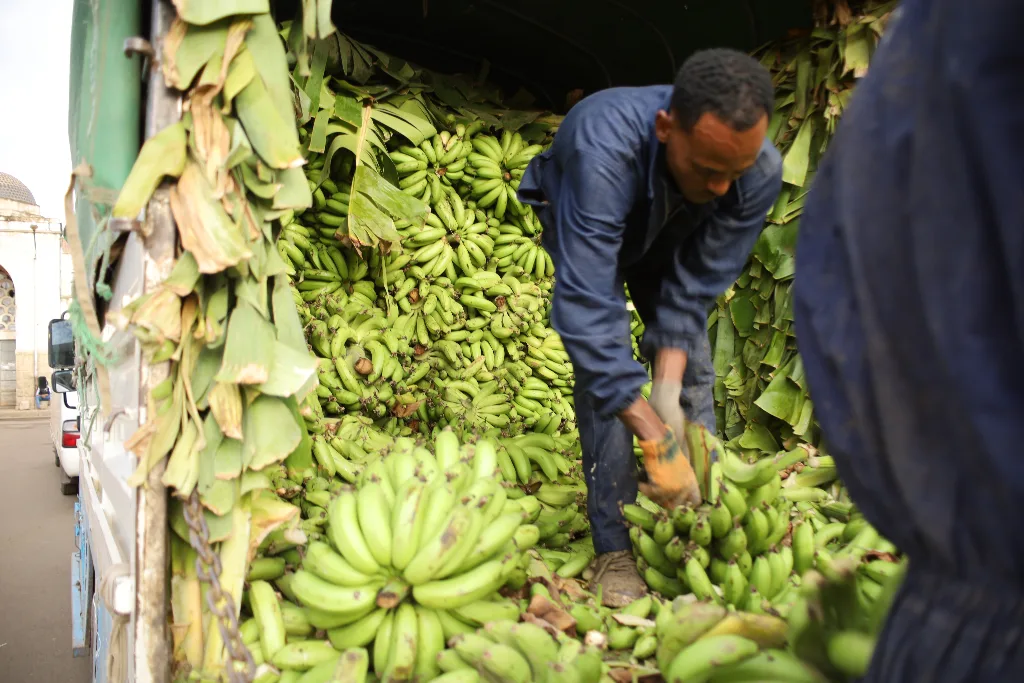 Bananas